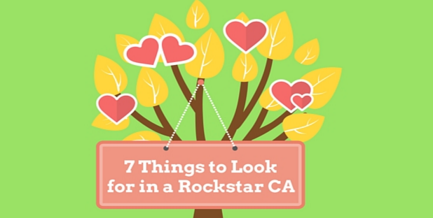 7 Things to Look for when Hiring a CA
