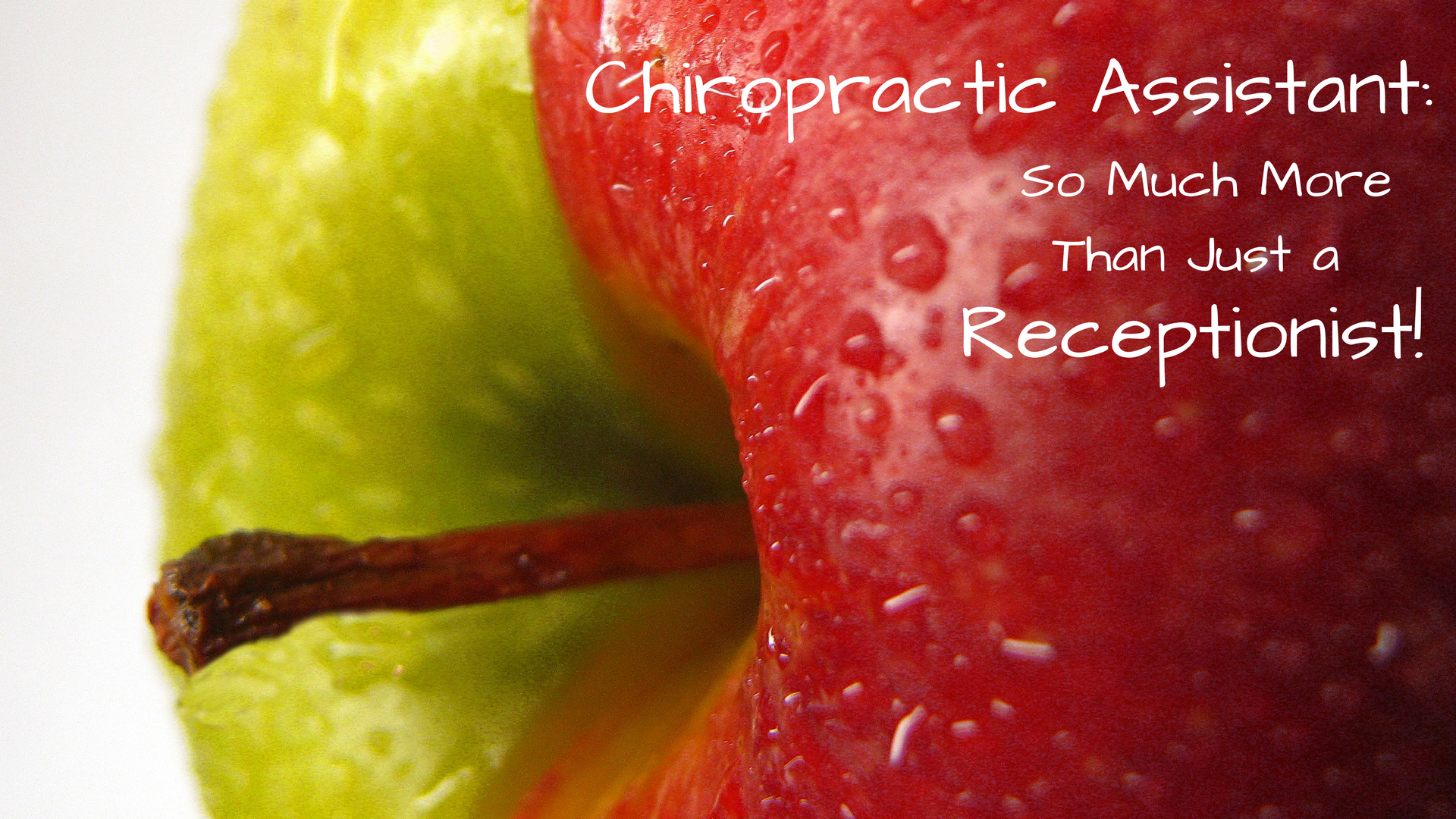 Chiropractic Assistant