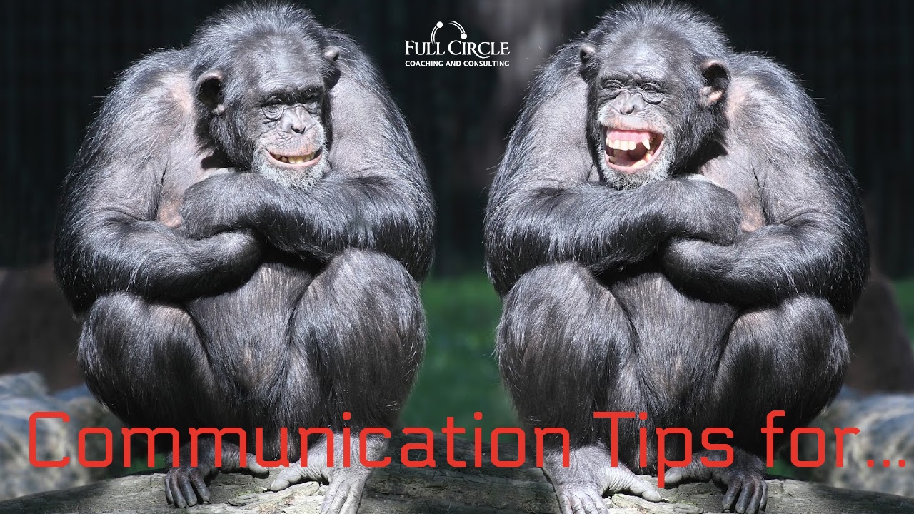 4 Simple Ways to Improve Team Communication