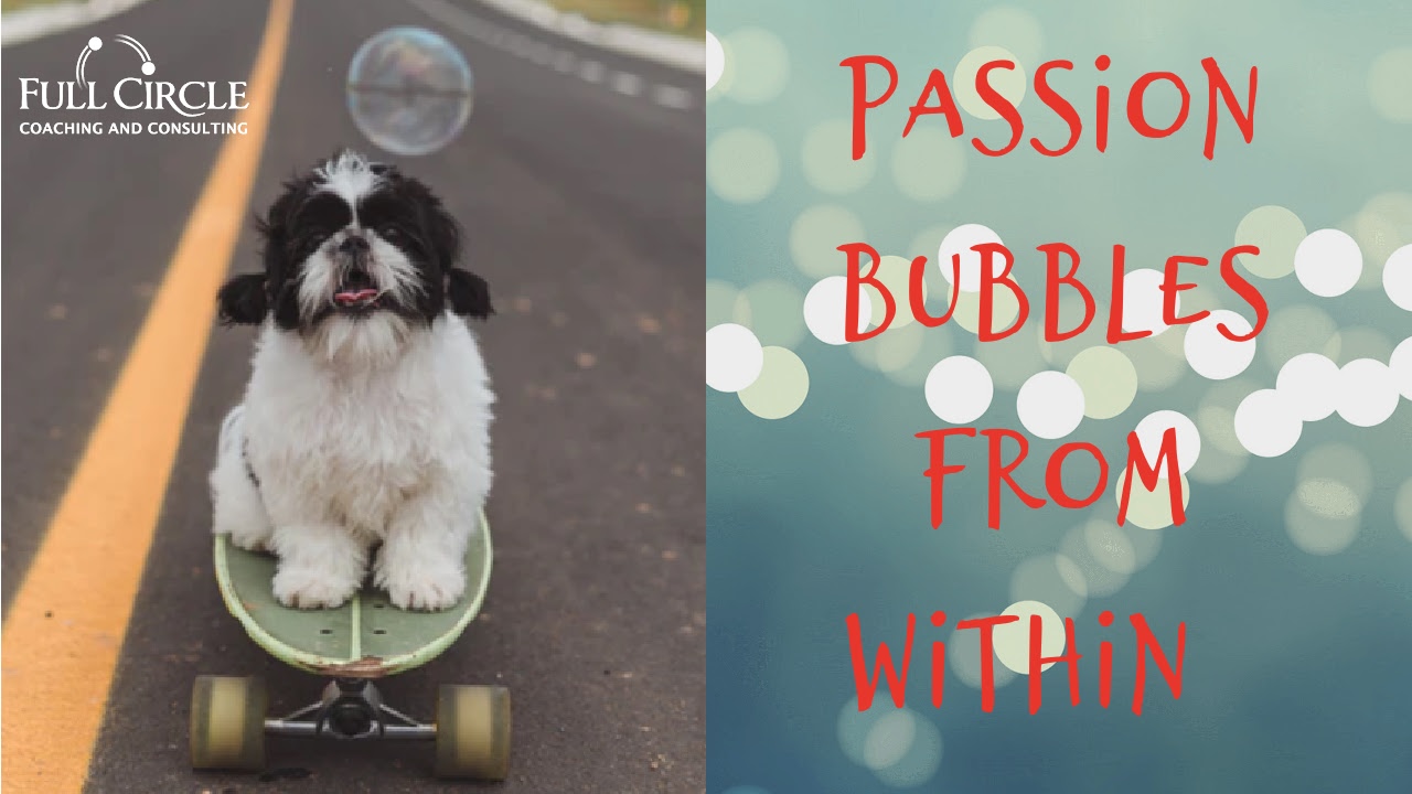 Where Do You Find Passion & How Do You Get More?