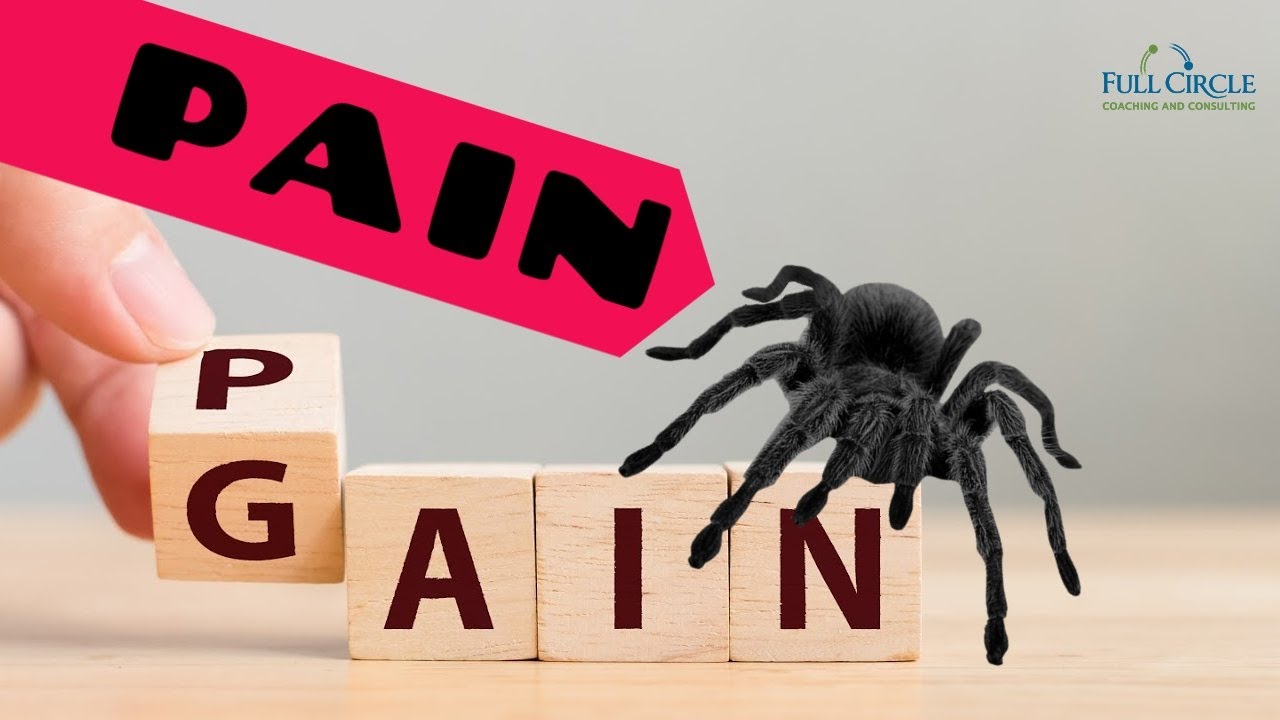 Pain vs Suffering: Lessons From A Brown Recluse Spider Bite
